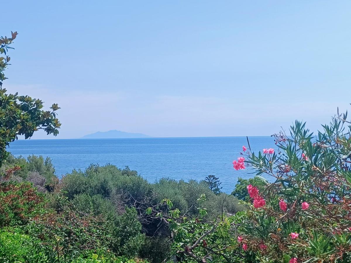 Villa Magnolia Santa-Maria-di-Lota ภายนอก รูปภาพ